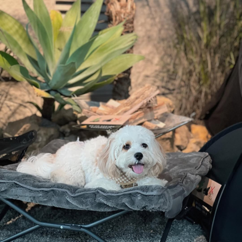 SaveClip.App_442135629_1612253186199448_2464264045038626428_n